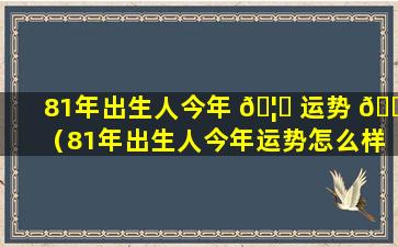 81年出生人今年 🦆 运势 🐎 （81年出生人今年运势怎么样）